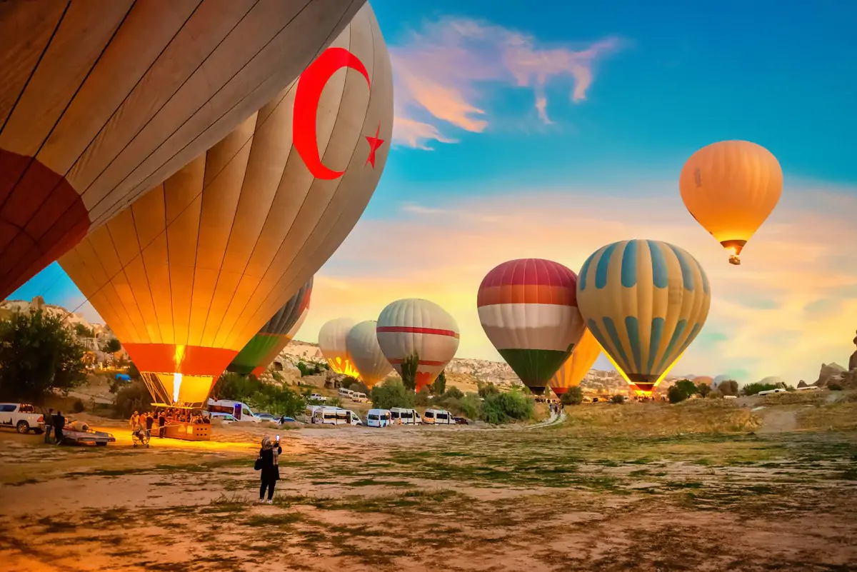 List your Tour and activity